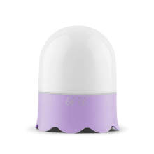 Ultrasonic Essential Oil Aroma Diffuser Pg-Ad-013p for Aromatherapy with Essential Oil